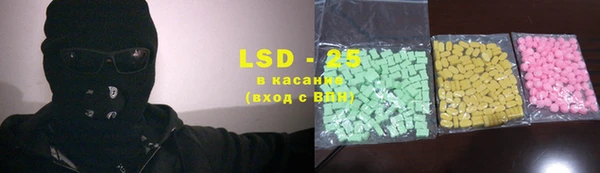 гидра Арсеньев