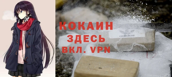гидра Арсеньев
