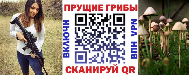 Галлюциногенные грибы мицелий hydra онион Сарапул